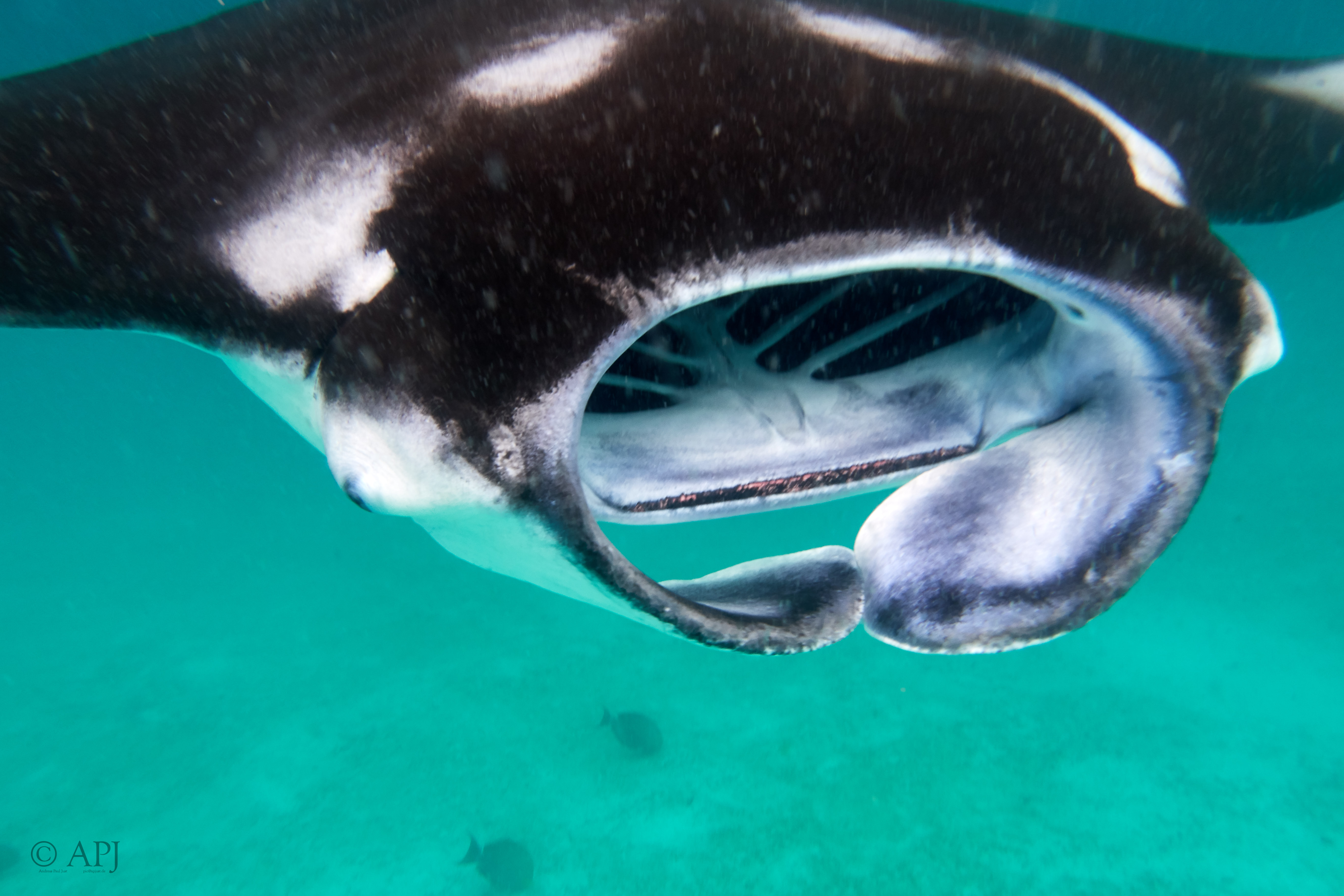 002562 17 08 17  Canon PowerShot G7 X Mark II   Malediven2017